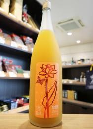 フルフルーティ ダブル　マンゴー梅酒　1800ml